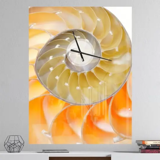 Designart 'Isolated Nautilus Shell Modern Rectangular Wall Clock {3}