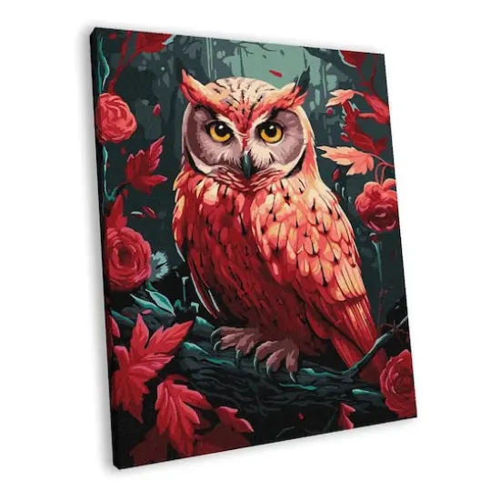 Ideyka Colorful Owl Painting by Numbers Kit {1}