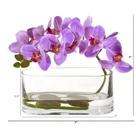 7" Moth Orchid Arrangement in Glass Vase Purple {3}
