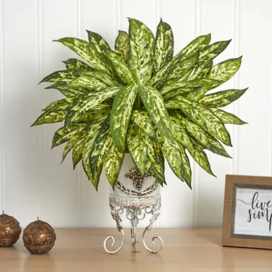 24" Aglaonema with White Metal Planter {3}