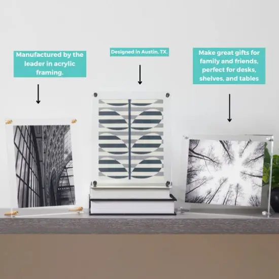 Wexel Art Clear Acrylic Tabletop Floating Picture Frame with Gold Hardware {6}