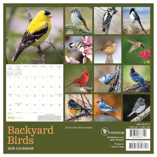 2026 Backyard Birds Mini Calendar {6}