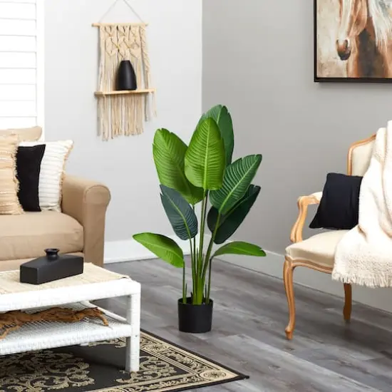 4ft. Potted Travelers Palm Tree {4}