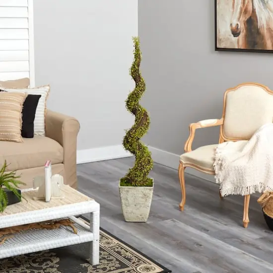 53" UV Resistant Mohlenbechia Spiral Tree in Country White Planter  {5}