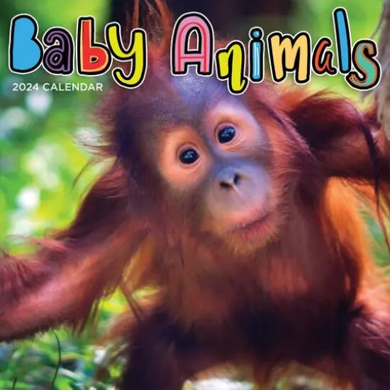 TF Publishing 2024 Baby Animals Wall Calendar {1}