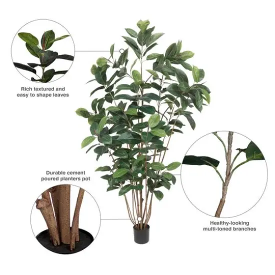7ft. Potted Green Rubber Tree {9}