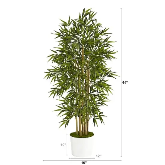 5.3ft. Bamboo Tree in White Tin Planter {4}