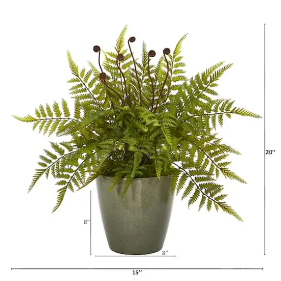 20" Fern in Olive Green Planter {3}