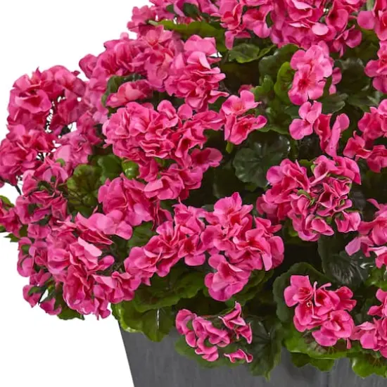 2.7ft. UV Resistant Pink Artificial Geranium in Slate Planter {3}