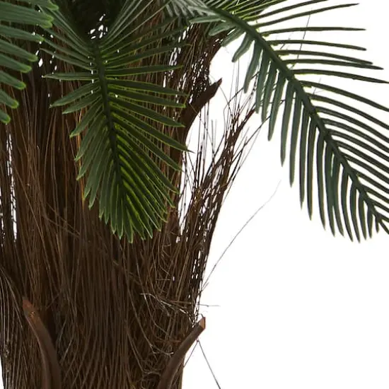 2ft. Potted Cycas Tree {4}