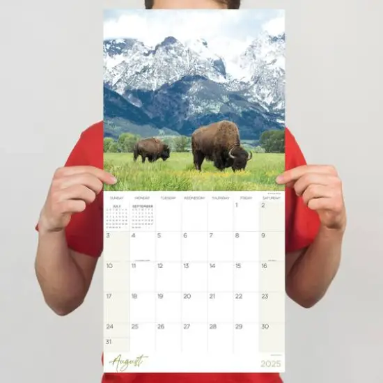 TF Publishing 2025 Wild Wall Calendar {5}