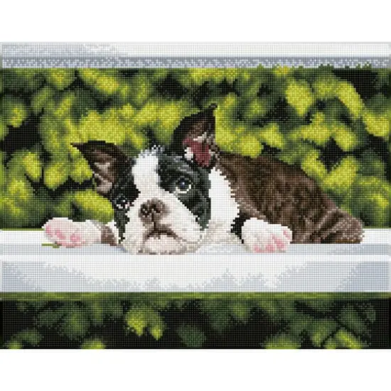 Diamond Dotz&reg; Intermediate Boston Blues Diamond Art Painting Kit {3}