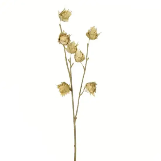 Green Hibiscus Spray, 3ct. {1}