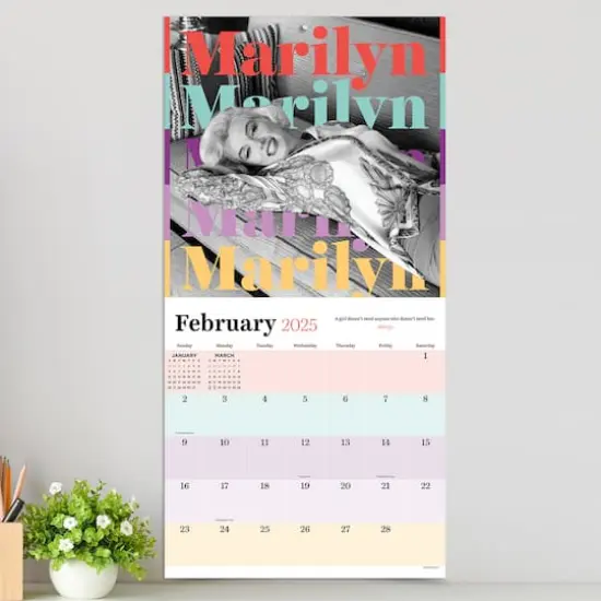 TF Publishing 2025 Marilyn Monroe Wall Calendar {5}