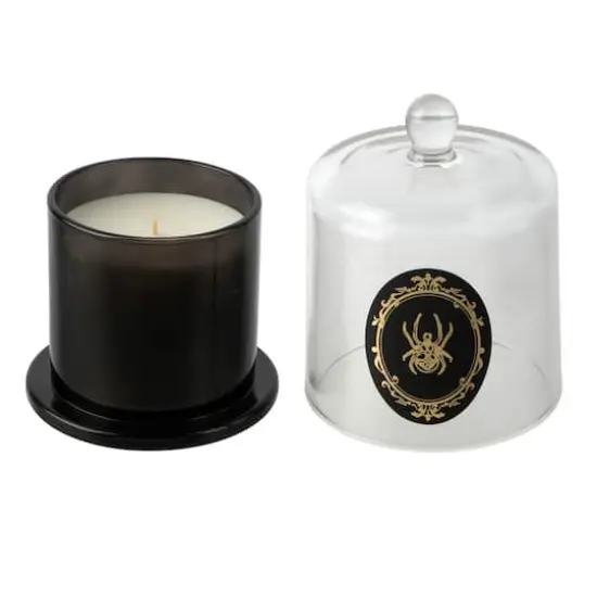 9oz. Spider Cloche Mystic Moonlight Scented Candle by Ashland® {3}