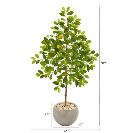 4.5ft. Lemon Tree in Sand Colored Planter {3}