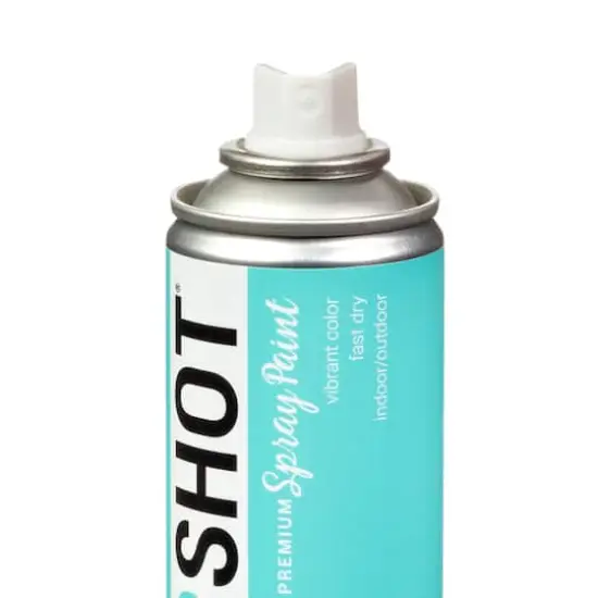 COLORSHOT&reg; Premium Gloss Spray Paint Island Girl {5}