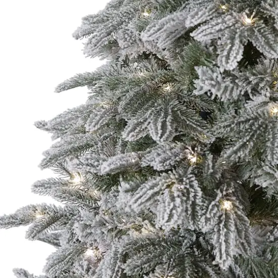 7ft. Pre-Lit Flocked Colorado Mountain Fir Artificial Christmas Tree, Warm White Microdot LED Lights {4}