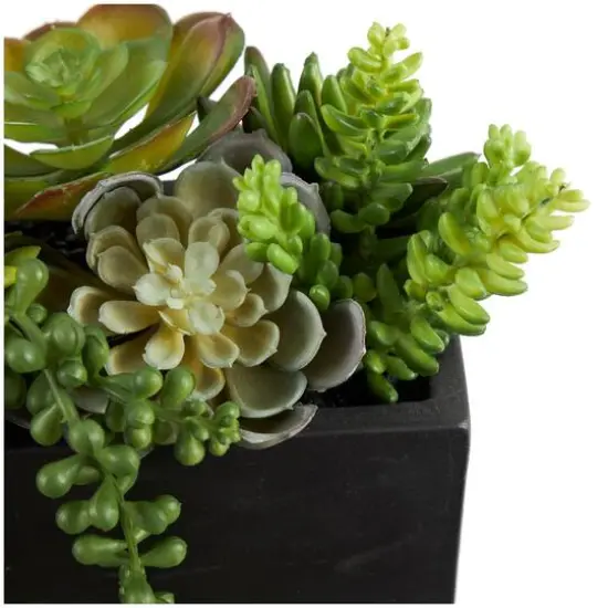 14" Green Faux Succulent in Black Rectangular Container {4}