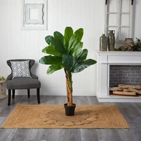 4ft. Double Stalk Banana Tree {4}