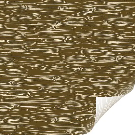 Cricut&reg; Premium Vinyl&trade; Rustic Lodge Forest Removable Sampler {5}