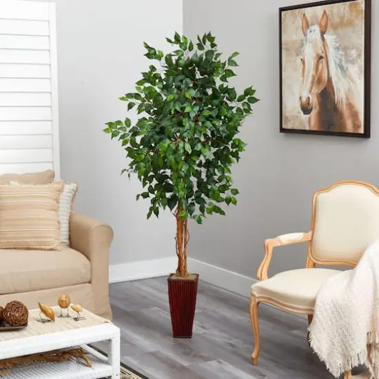 6ft. Ficus Tree in Bamboo Planter {4}