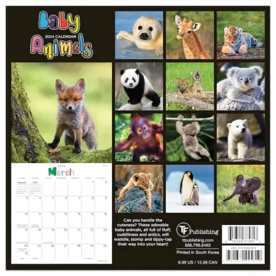 TF Publishing 2024 Baby Animals Mini Calendar {3}