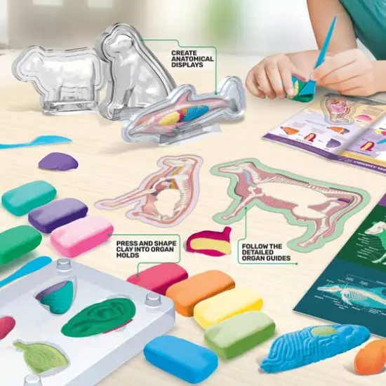 ArtSkills&reg; Epic Lab Veterinary Science STEM Kit {6}