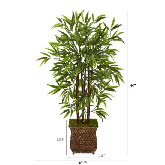 3.5ft. Bamboo Tree in Metal Planter {3}
