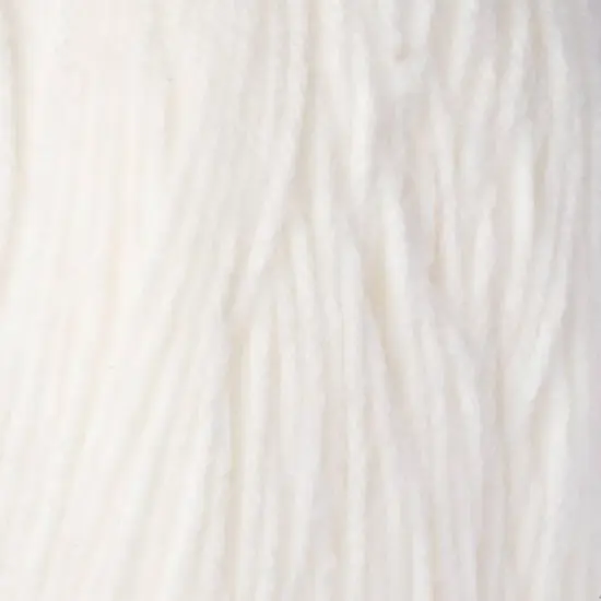 Red Heart&reg; Super Saver&reg; Yarn White {3}