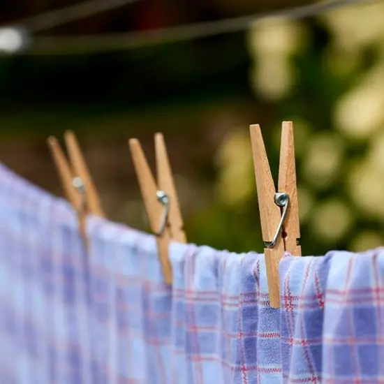 Household Essentials Classic Birchwood Clothespins {3}