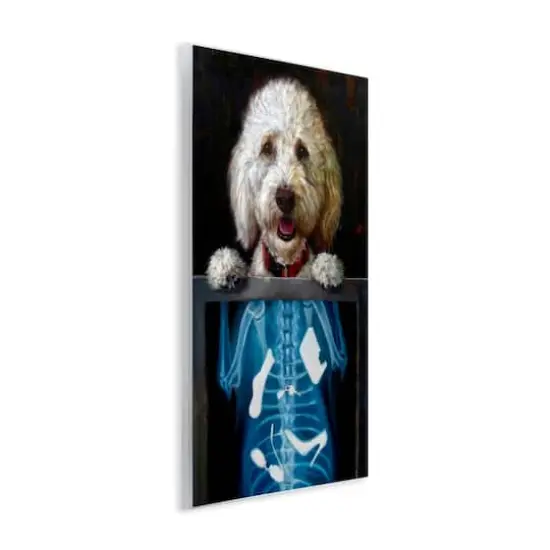 Stupell Industries Funny Dog X-Ray Snacks Wall Plaque Art {4}