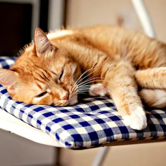 Fairfield&trade; 16" x 16" x 1" Project Foam Inserts, 4ct. {4}