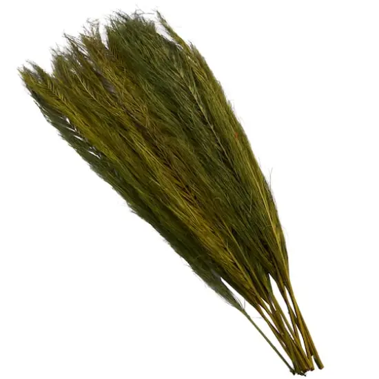 35" Natural Dried Palm Leaf Bundle with Feather-Inspired Stems Green {4}