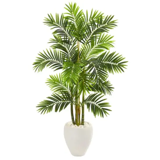 5ft. Areca Palm Tree in White Planter {1}