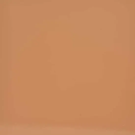 ORACAL&reg; 651 Permanent Adhesive Vinyl Light Brown 081 {3}