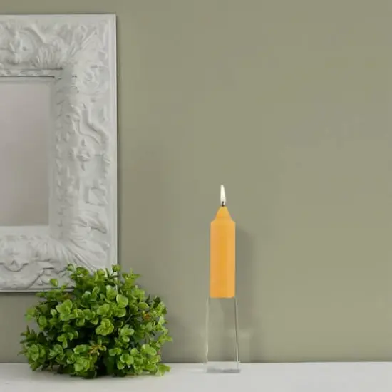 Root Candles 5" Unscented Timberline&trade; Collenette Taper Candles, 8ct. Butterscotch {4}