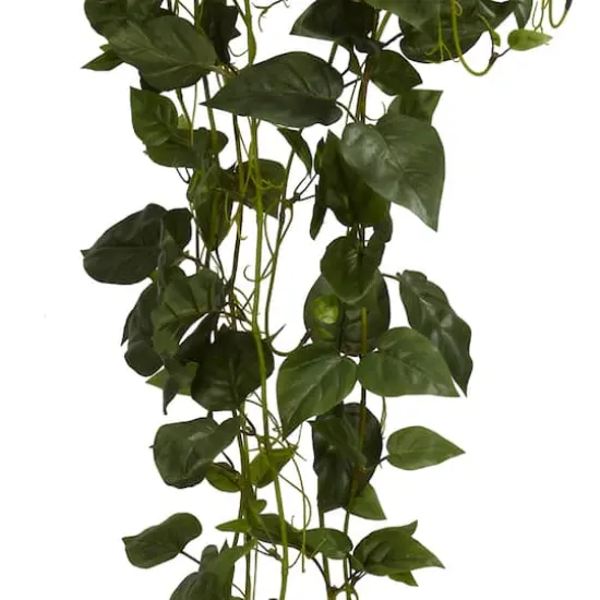 44" Philodendron Hanging Basket Plant {4}