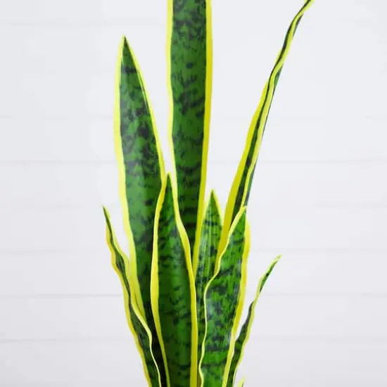 30in. Artificial Sansevieria Plant {4}