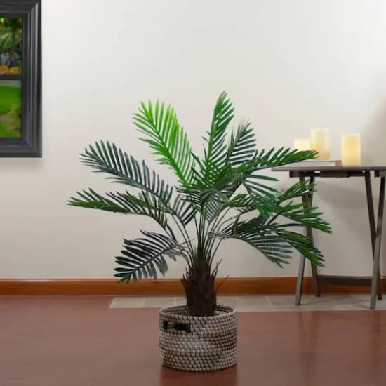 3ft. Potted Green Palm Plant {3}