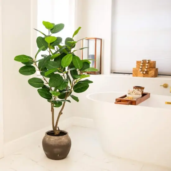 4ft. Artificial Audrey Ficus Tree in Rustic Decorative Planter {8}