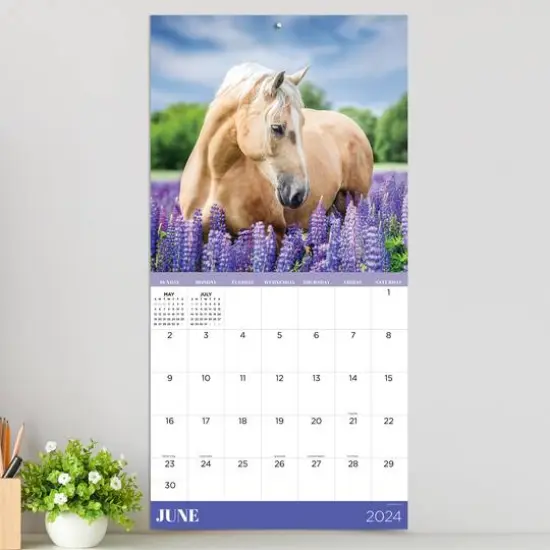 TF Publishing 2024 Horses Wall Calendar {5}