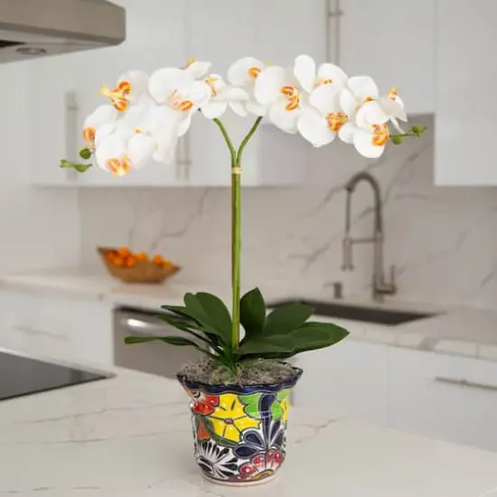 2ft. Artificial Double Orchid Arrangement in Handmade Mexican Talavera Ceramic Planter {3}