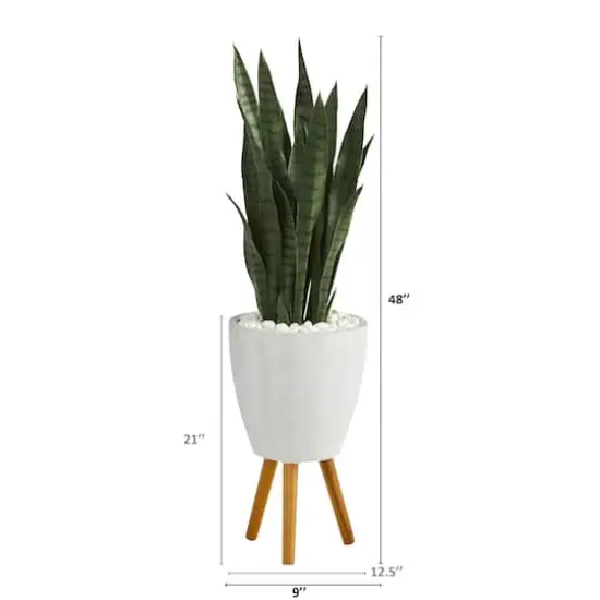 4ft. Snake Plant in White Planter with Stand {3}