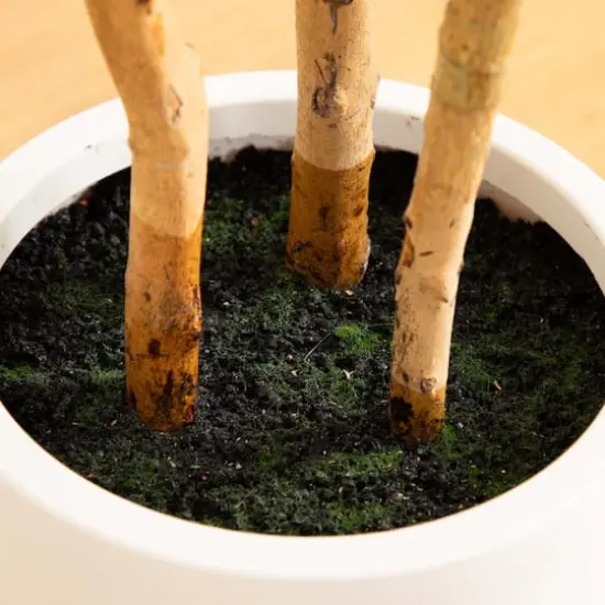 4ft. Fiddle Leaf Tree in Decorative White Planter {8}