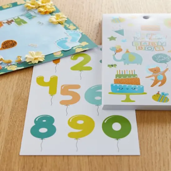 Baby Boy Birthday Sticker Book by Recollections&trade; {3}