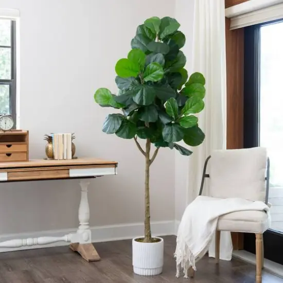 6ft. Artificial Fiddle Leaf Fig Tree with White Decorative Planter {6}