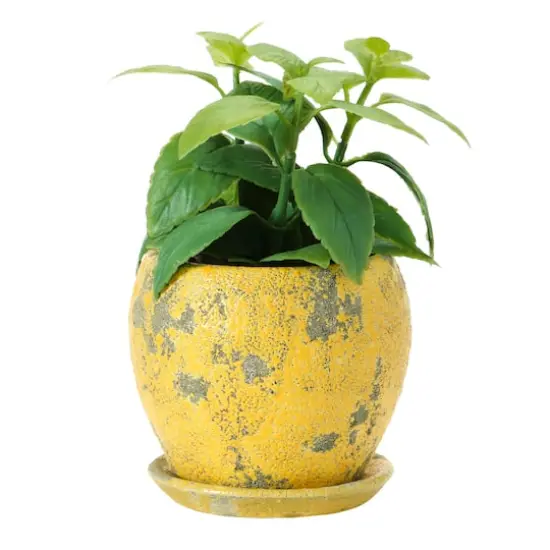 Hello Honey&reg; 5" Distressed Yellow Terra Cotta Planter with Saucer Set {7}