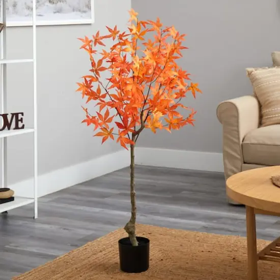 4ft. Potted Orange Autumn Maple Tree {3}