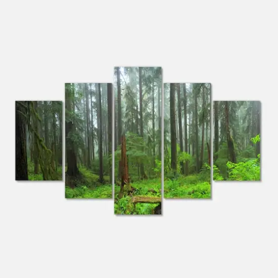 Designart - Hoh Rain Forest - Large Landscape Photography Canvas Art Print {1}